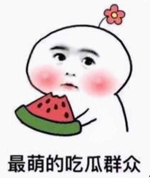 不问别离吃瓜板版,网络热词背后的故事与影响