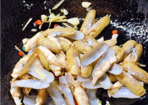 吃瓜炒蛏子,揭秘吃瓜炒蛏子的独特魅力