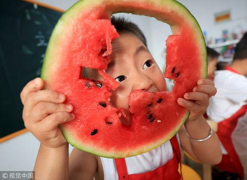 吃瓜少儿,趣味横生的童年娱乐现象