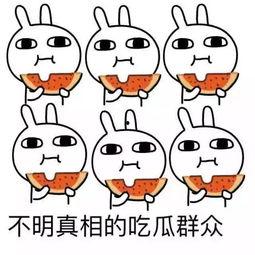 吃瓜能有多努力