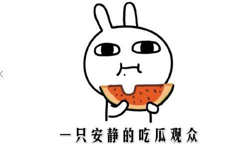 抖音吃瓜些,揭秘网络热点背后的真相