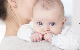 哺乳期间可以吃瓜,瓜类美食的合理享用指南