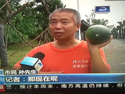 保定吃瓜热门事件,一场网络热议背后的真相揭秘