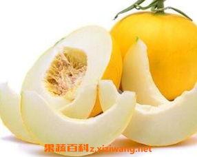 痛风可以吃伊丽莎白瓜吗,伊丽莎白瓜成为健康饮食新选择