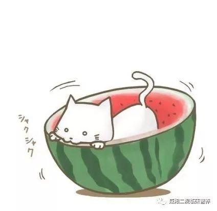 吃瓜头像怎么回复,网络潮流背后的文化现象