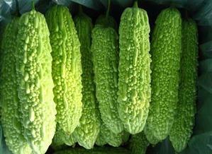 吃吊瓜减肥不,天然美味助你轻松瘦身新选择”