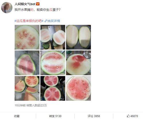 吃生瓜蛋子,探寻生瓜蛋子的独特风味与营养奥秘