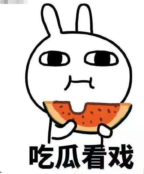 吃瓜推文文,揭秘网络推文背后的真相