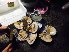 吃瓜青岛工程,吃瓜群众眼中的建筑奇迹