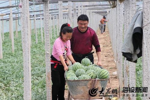 南王店吃瓜,揭秘当地特色美食背后的故事