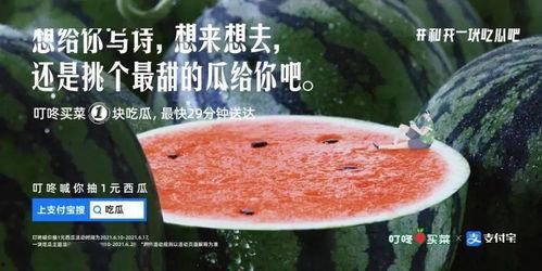 赏花与吃瓜文案,春日美好时光