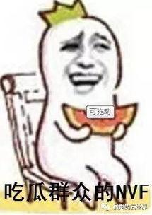 吃瓜群众能去吗,一场全民参与的盛宴