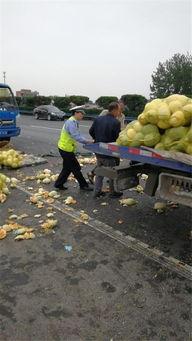 交警大队吃瓜,揭秘背后真相与反思