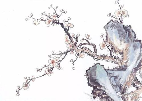 梅花7吃瓜,揭秘吃瓜背后的故事与真相