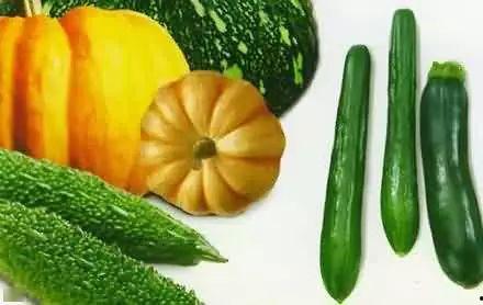 吃瓜瘦马,揭秘瓜果中的瘦身奥秘