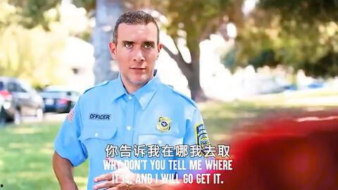 吃瓜视频吉尼斯,揭秘全球最疯狂、最奇特的吃瓜记录