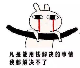 吃瓜熊猫人学霸