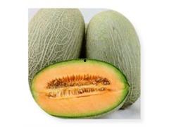 吃哈密瓜能不能喝蒲地蓝,饮食搭配的注意事项