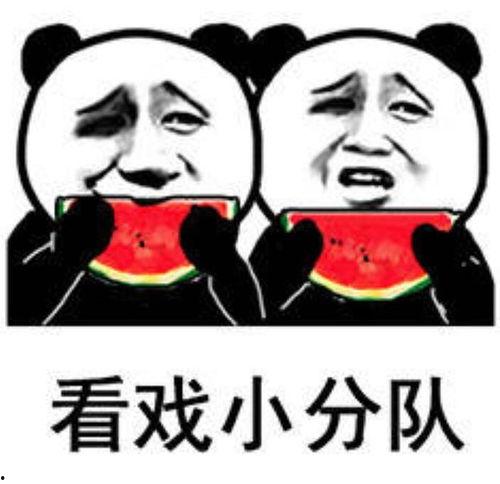 吃瓜表情瓜子,揭秘网络社交新风尚