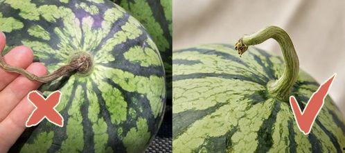 周五吃瓜,揭秘娱乐圈最新热点事件