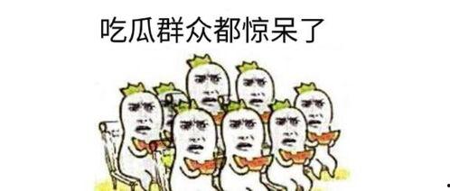 吃瓜群众岱宗夫