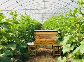 吃瓜唱歌房,释放压力的欢乐空间