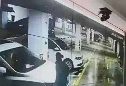 吃瓜车库,一场美食与娱乐的盛宴