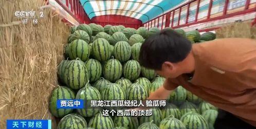 常旭吃瓜,揭秘娱乐圈幕后故事