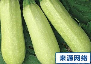 吃白瓜是否上火,清凉解暑，不上火之谜