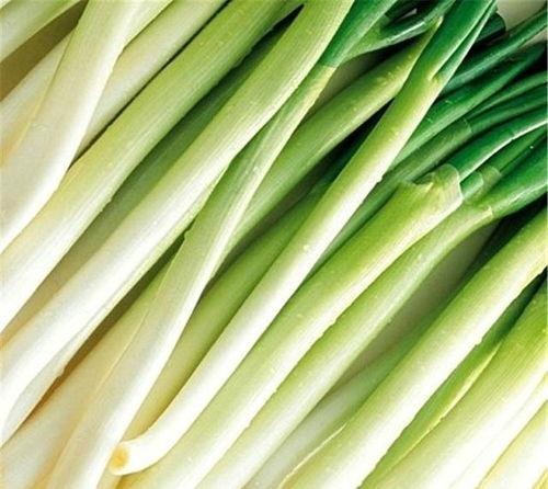 黄守瓜怎么吃最好,黄守瓜的多样美味食用指南