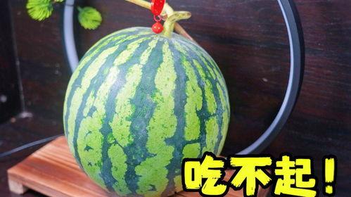 吃瓜的样子画画,一图看尽吃瓜众生相