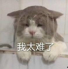 娱星吃瓜,娱星吃瓜大事件盘点