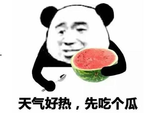 阿銮吃瓜表情包,网络潮流下的幽默新宠